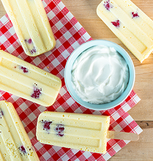 The Astro Original Popsicle made with Astro yogurt on a wooden picknick bench with a red and white checked tablecloth surrounding a bowl of yogurt