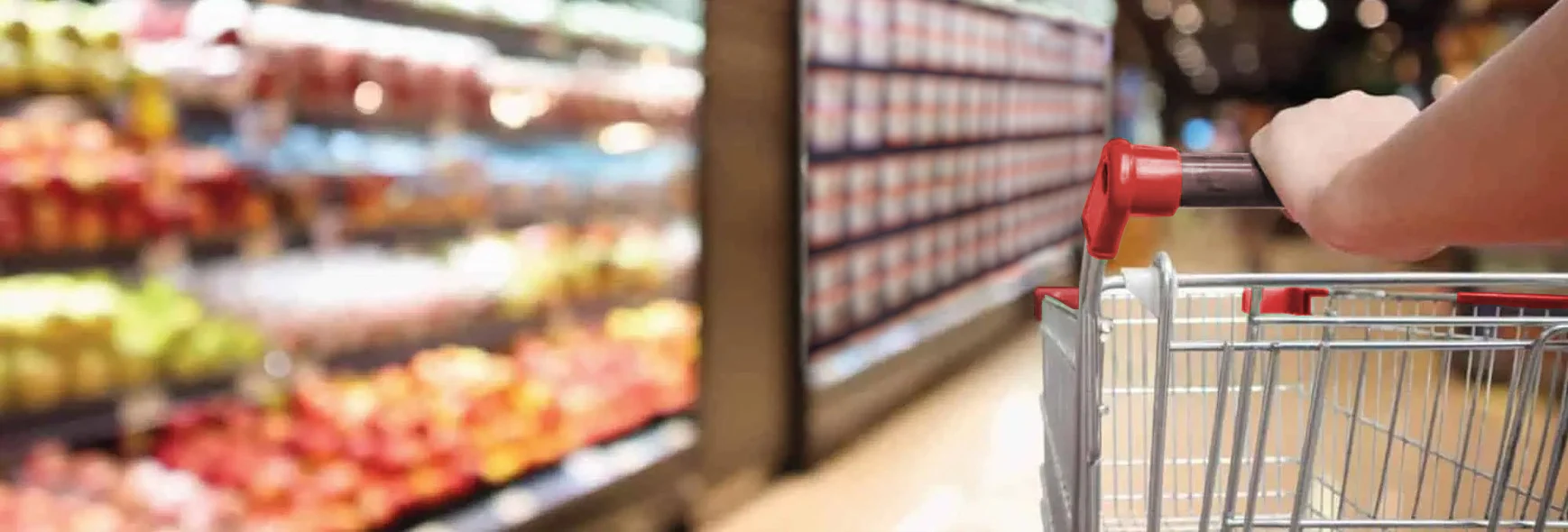 Shopping cart at a grocery store with Astro tubs on the shelf